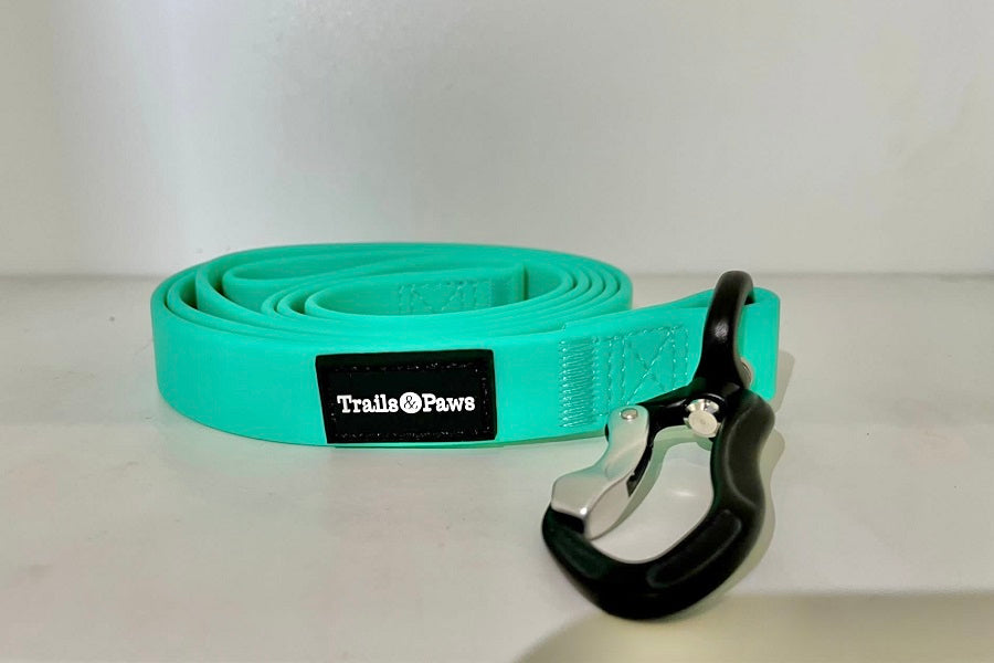 1.2m green lead - trails and paws